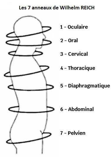 7anneaux REICH corrigé